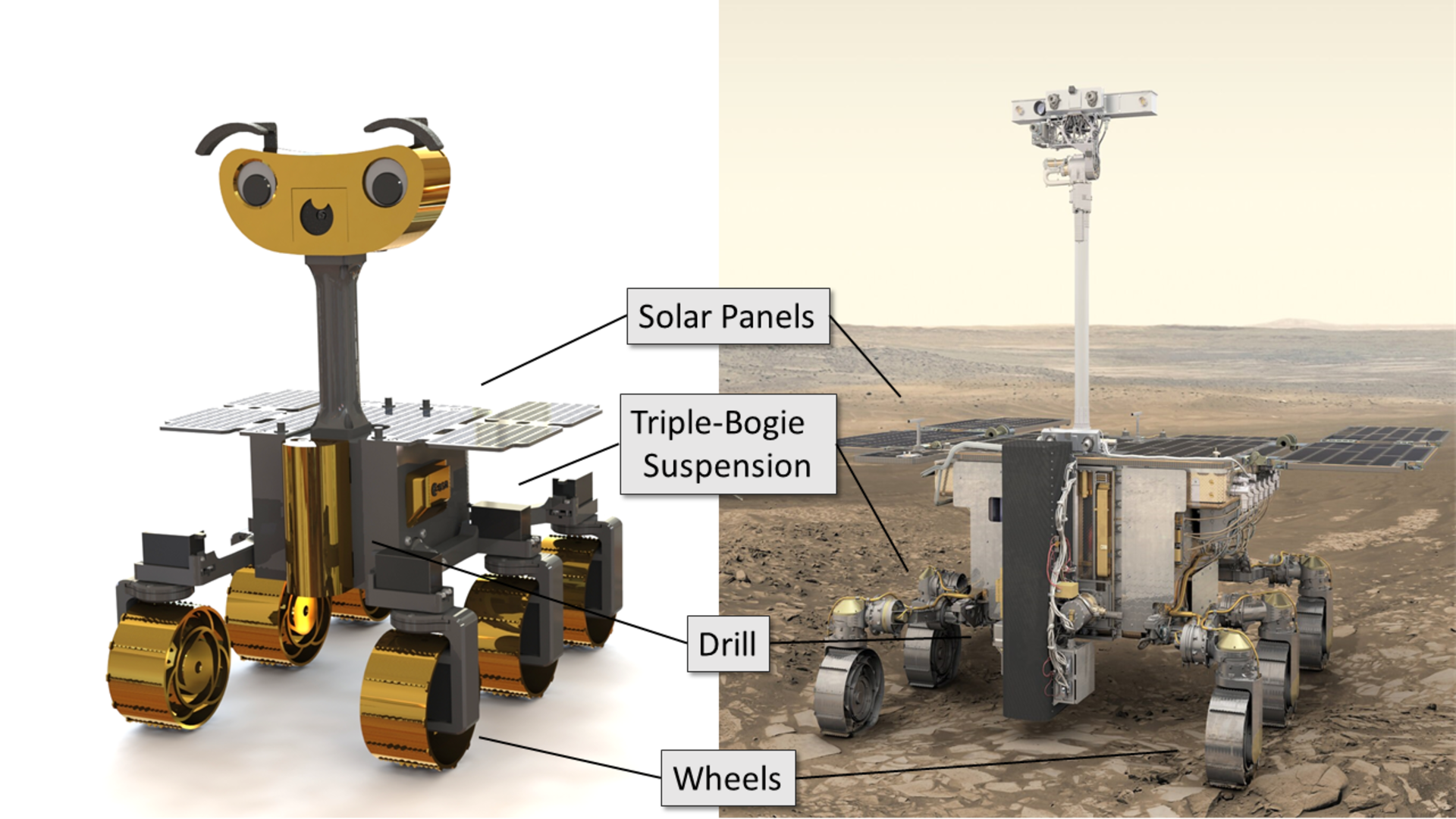 Il rover marziano telecomandato da stampare in 3D