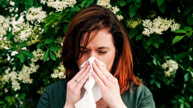Allergia, perché ne soffriamo sempre di più