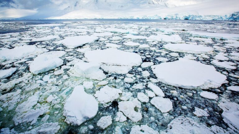 Antartide, il ghiaccio marino è ai minimi storici